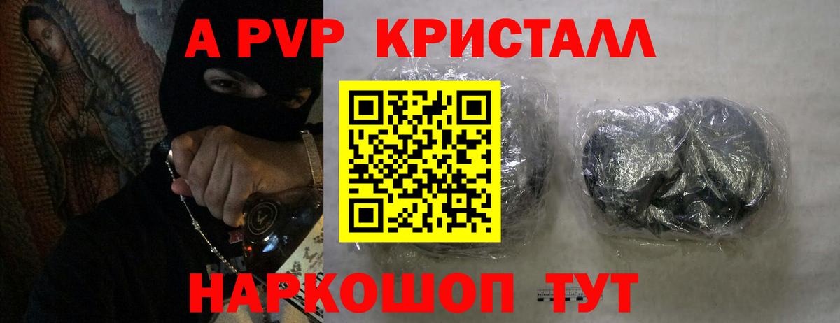 Alfa_PVP СК КРИС Тамбов