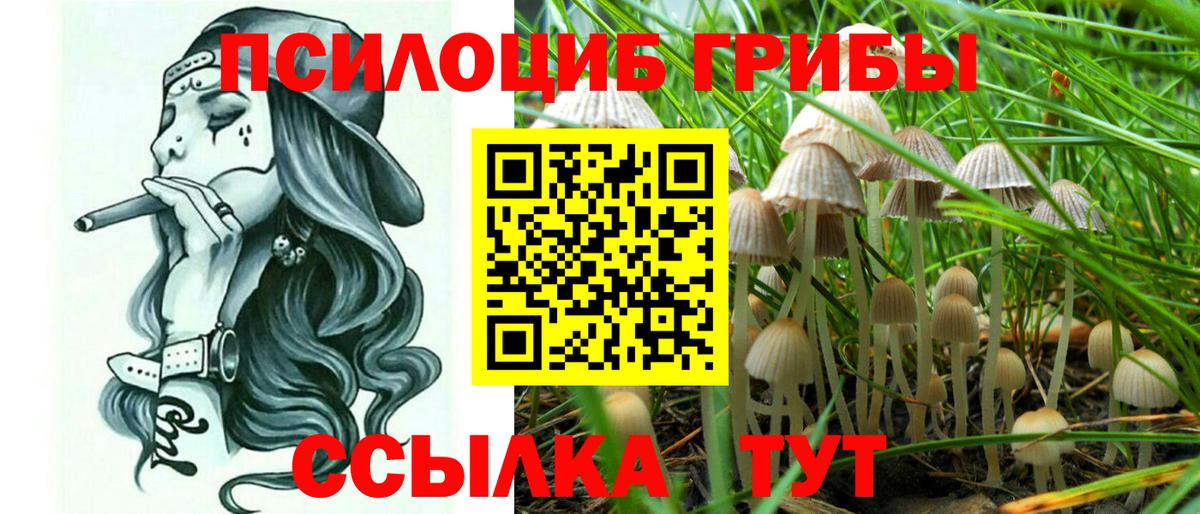 Тамбов  Псилоцибиновые грибы GOLDEN TEACHER  Галлюциногенные грибы прущие грибы  Вход с VPN 